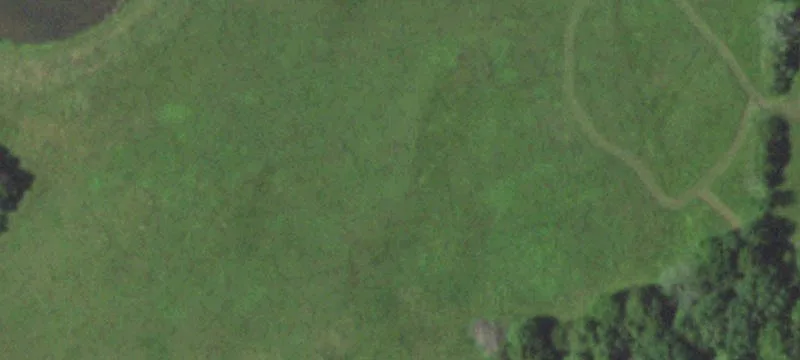 17782 County Rd 5310