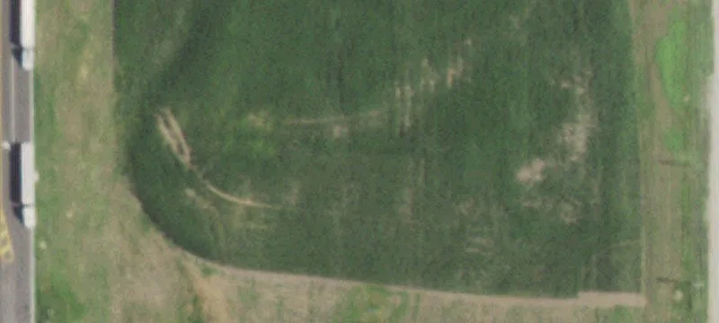 Griffin Rd