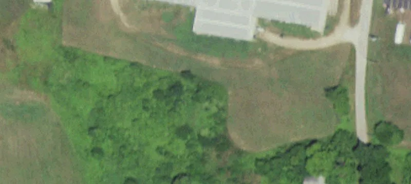 Theodosia, MO 65761