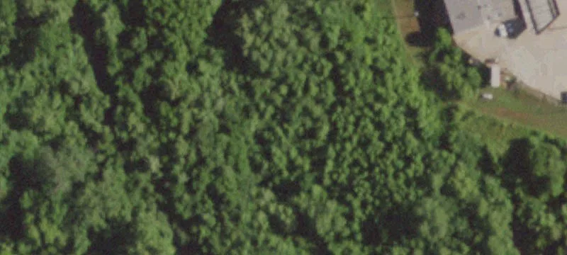 Silva, MO 63964