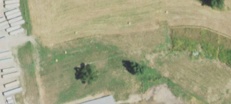 29421 State Hwy 38
