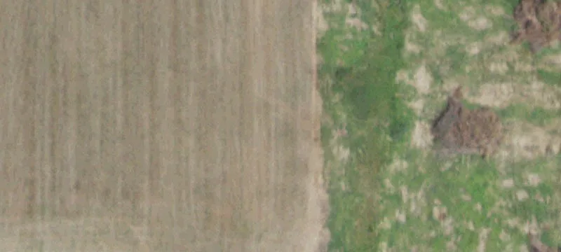 533 Highway 126