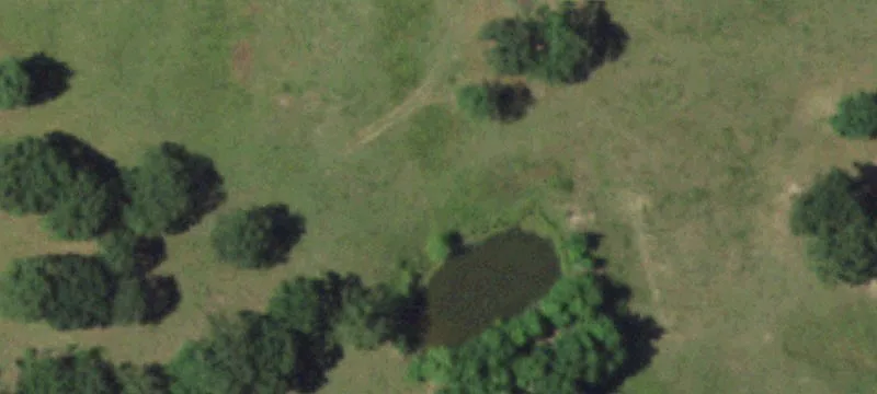 29654 Militia Rd