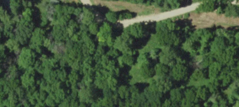 3446 4th Mile Rd