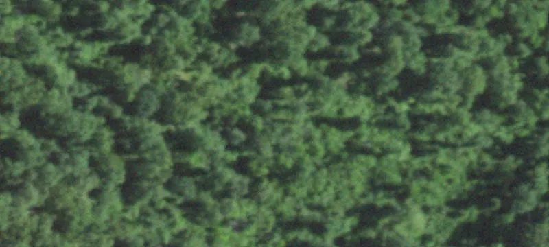 Richwoods, MO 63071