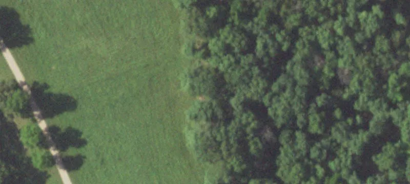 Westphalia, MO 65085