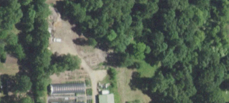 Fairdealing, MO 63939