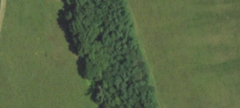 Linneus, MO 64653