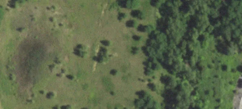 Leased Land