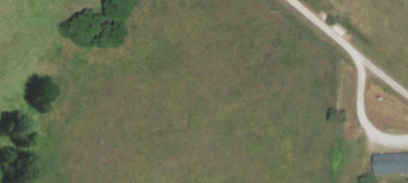Grovespring, MO 65662
