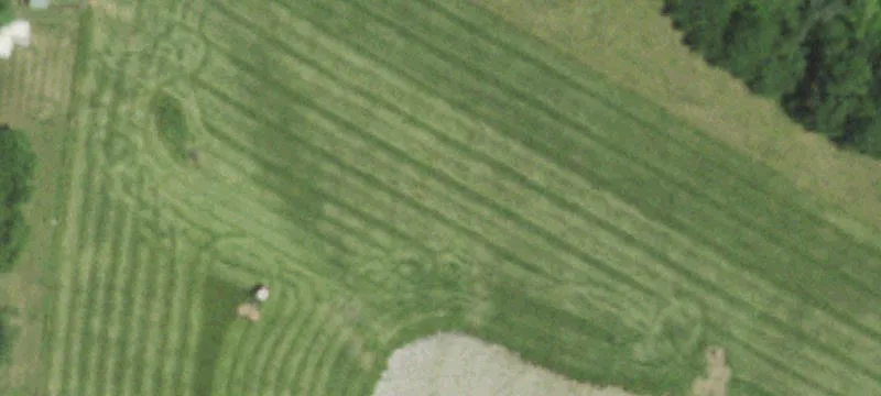 Grant City, MO 64456