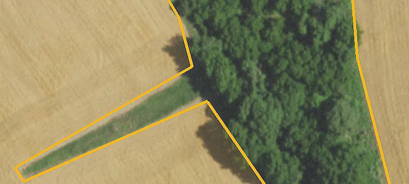 Palmyra, MO 63461