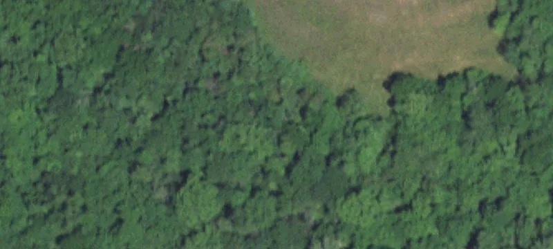Ava, MO 65608