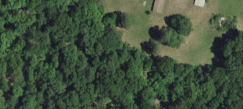 Theodosia, MO 65761