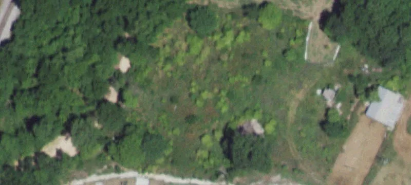5421 State Hwy 59