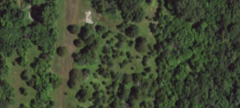 Neosho, MO 64850