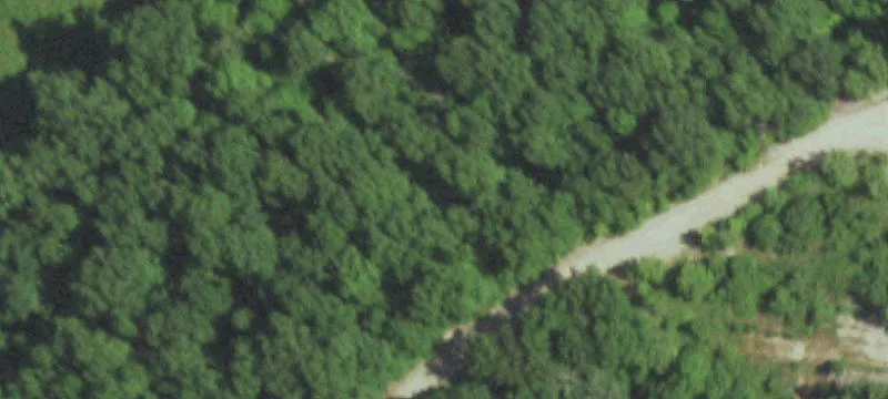 2942 Hwy 61