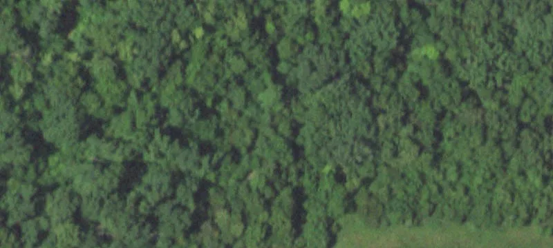 Linn, MO 65051