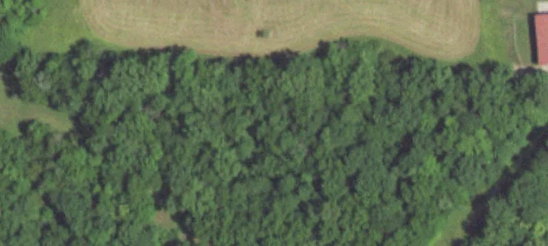 9237 Audrain Rd 343