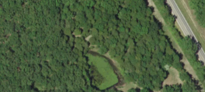4472 Hwy 19