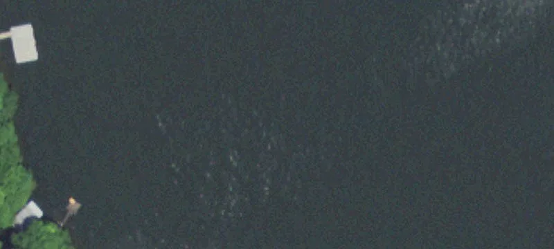 Roach, MO 65787