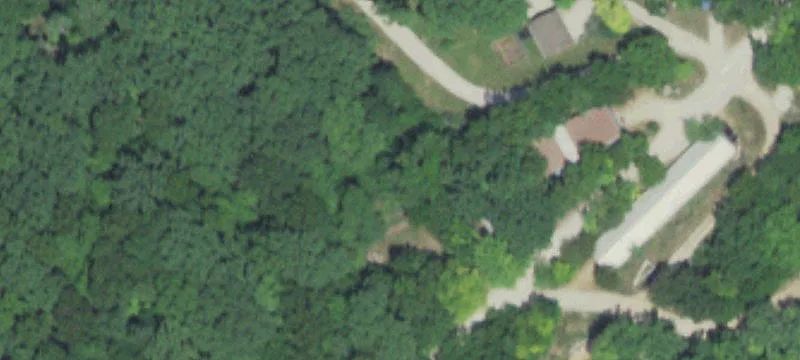 31384 Shady Rst Rd