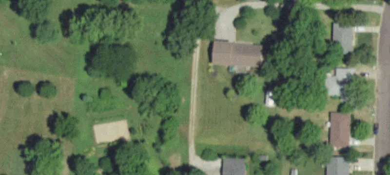 Hollyhock Dr