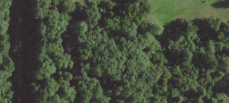 Ee Side Oakwood