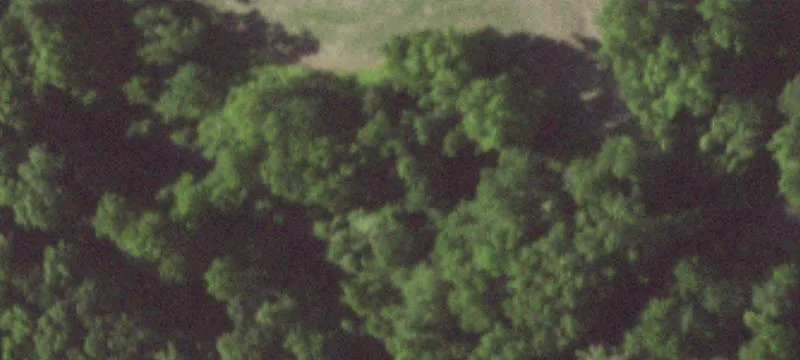 Rural Rural