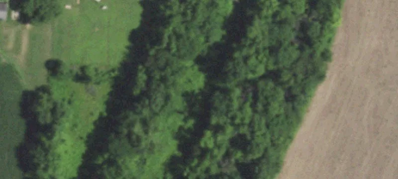 Laclede, MO 64651