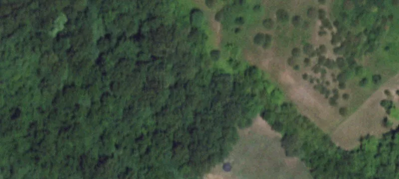 Stella, MO 64867