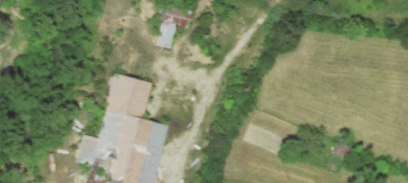 2061 Hwy 19