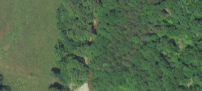 Roach, MO 65787