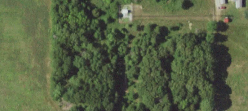12431 Clay Ln