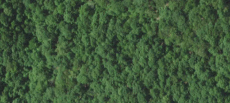 Cook Sta, MO 65449