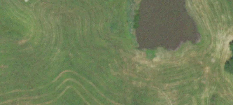 Lady At S 500th Rd