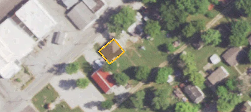 113 College St