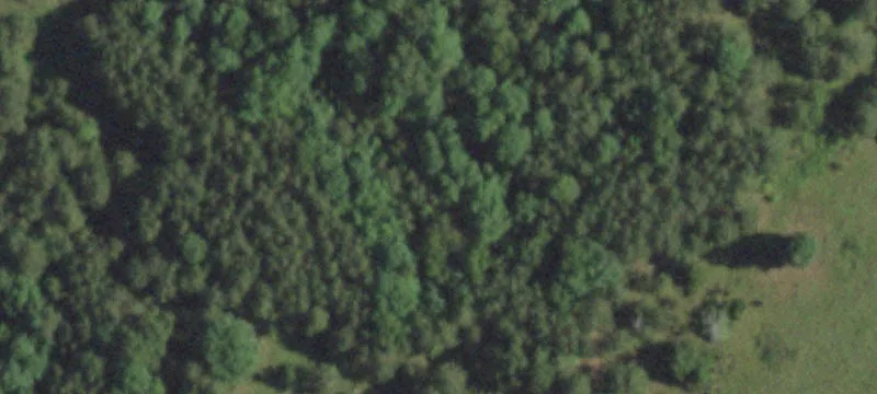 Patterson, MO 63956