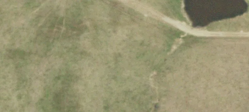 Everton, MO 65646