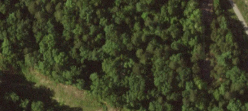 County Rd 325