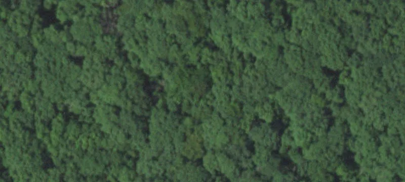 19108 Monroe Road 1117