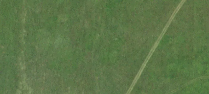 Daniels Rd