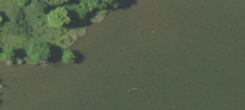Roach, MO 65787