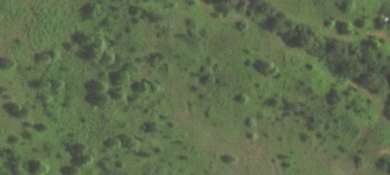 Benton, MO 63736