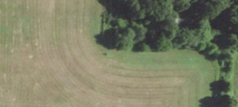 Rogersville, MO 65742