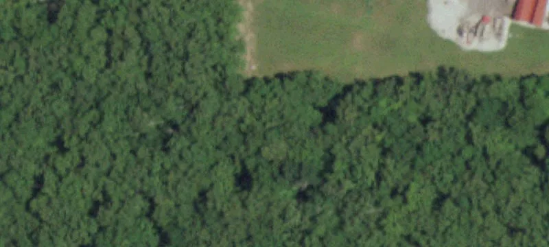 Mineral Point, MO 63660
