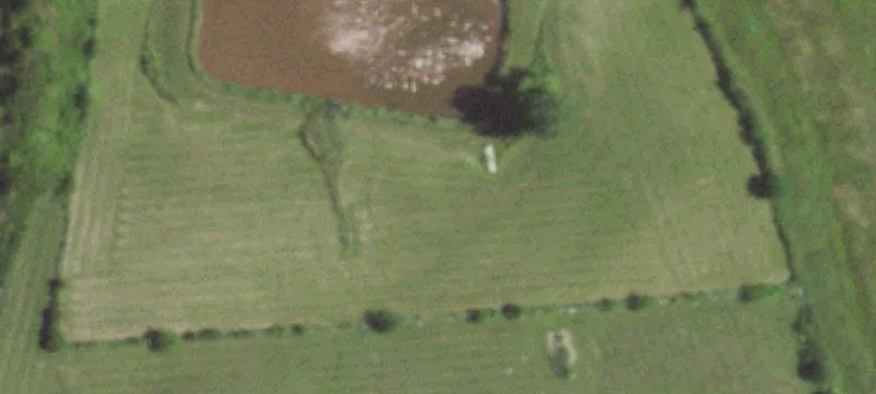29541 Us Hwy 69