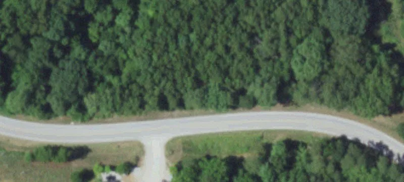 Lampe, MO 65681