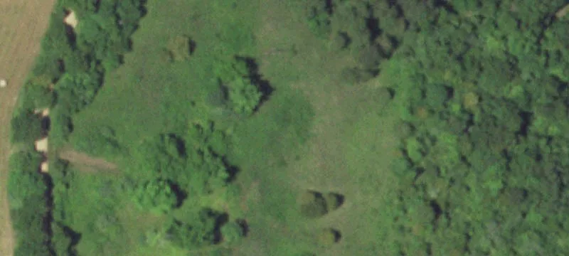 Patton, MO 63662