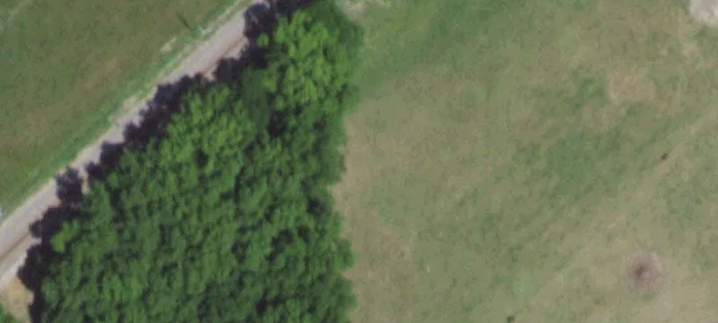 Seneca, MO 64865